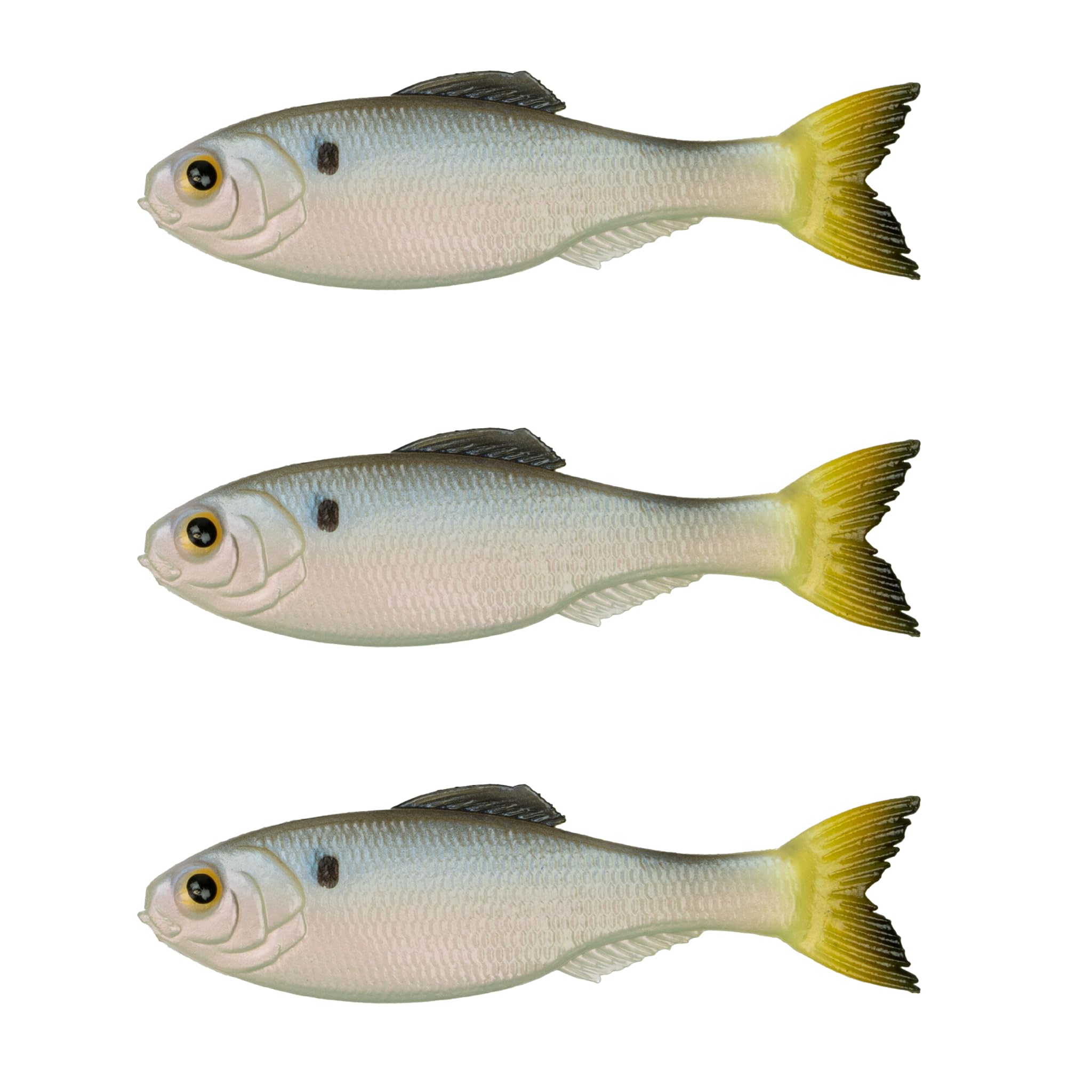 Hard Baits